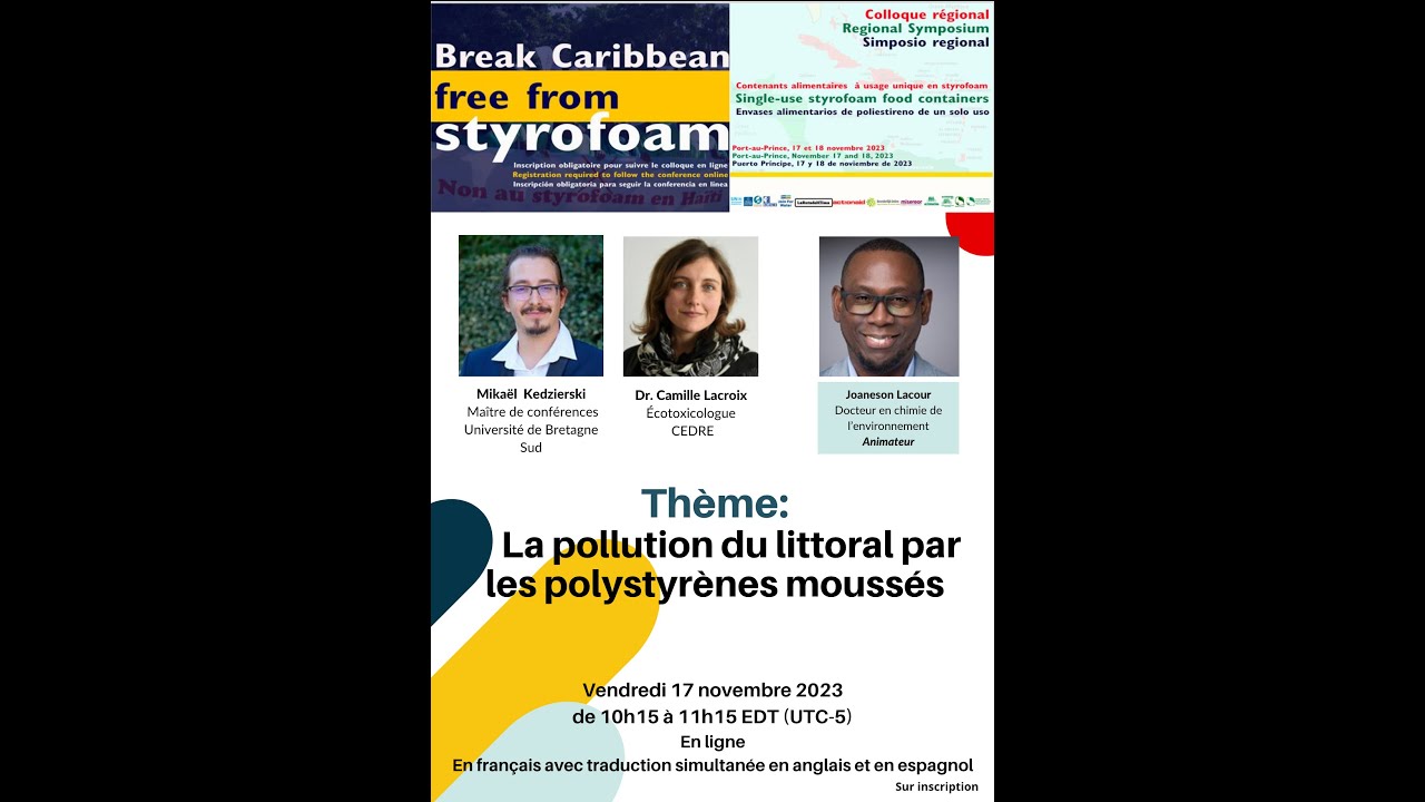La pollution du littoral par les polystyrènes moussés