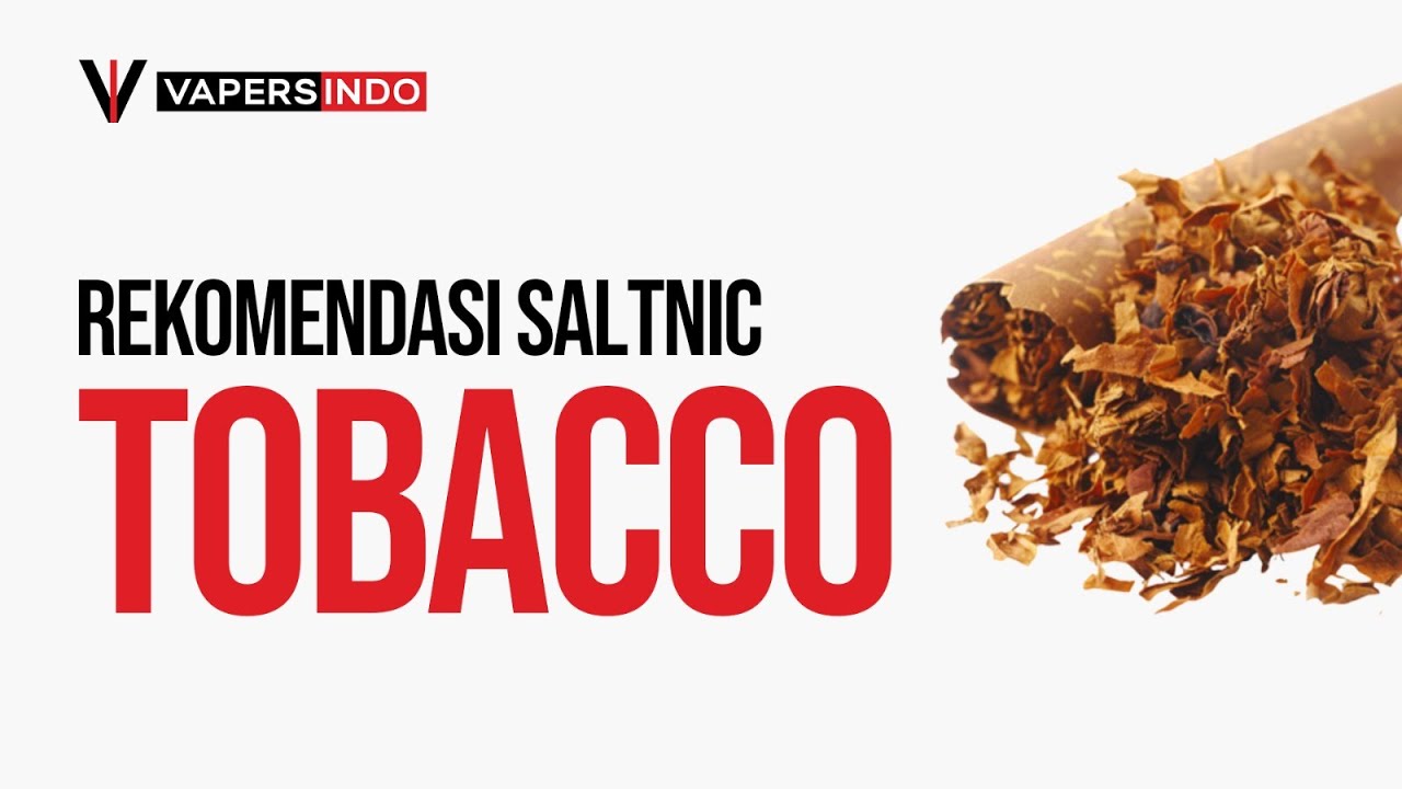 REKOMENDASI SALT BACCO