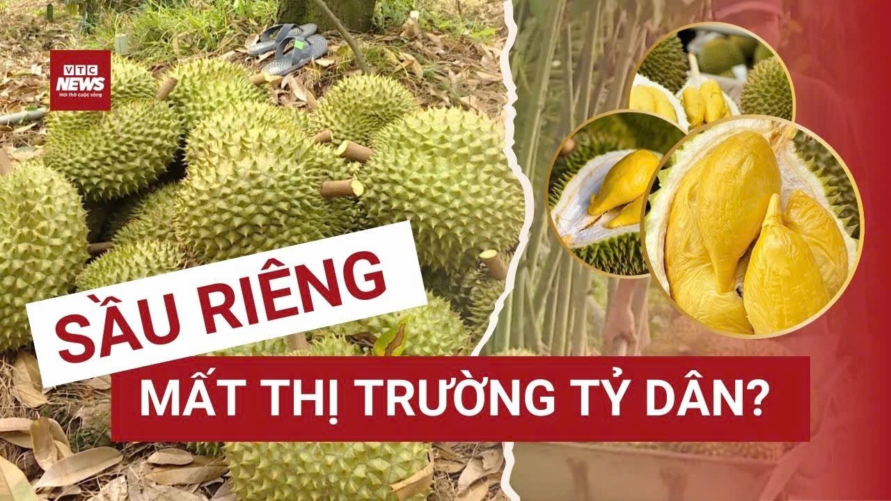 Ngành sầu riêng Việt Nam trước nguy cơ mất thị trường tỷ dân?| VTC News