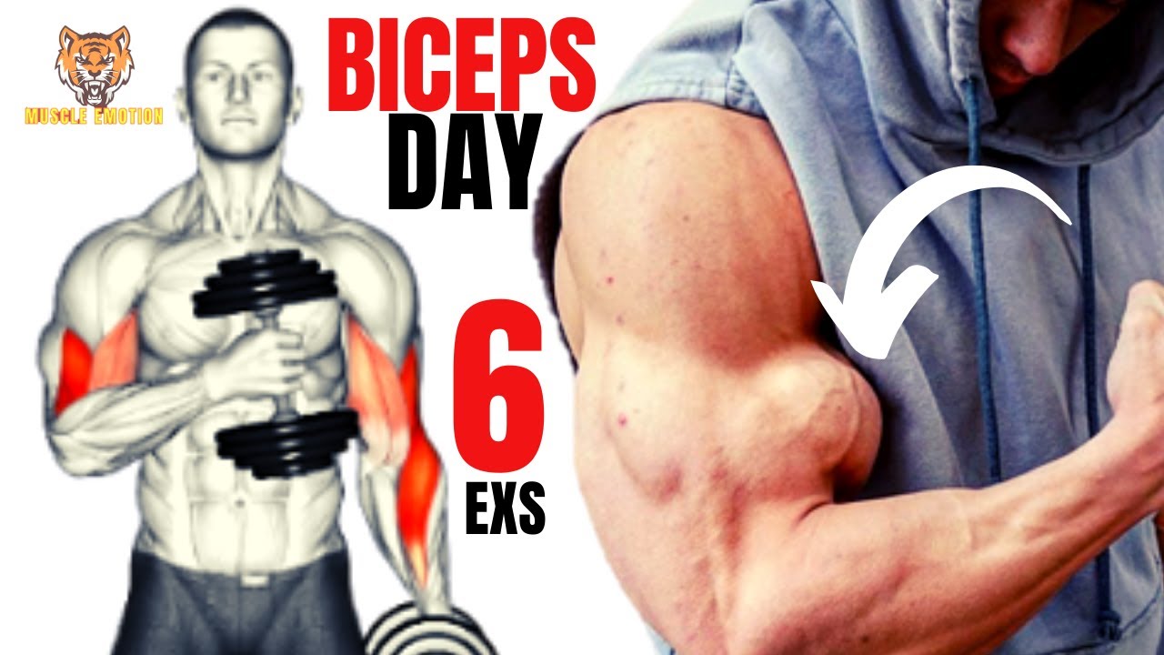 6 BEST BICEPS EXERCISES WITH DUMBELLS ONLY AT HOME