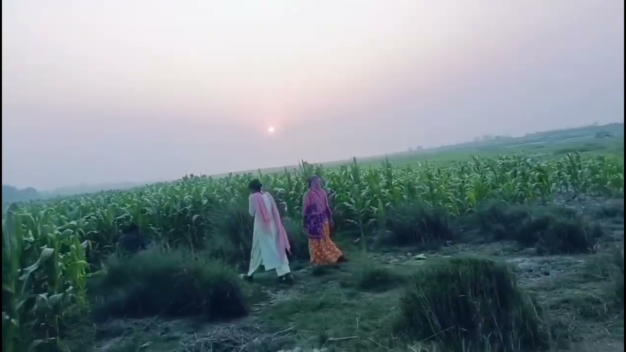 দুই বিয়াৰ পিছত কি জালা #highlights #videoviralシ 