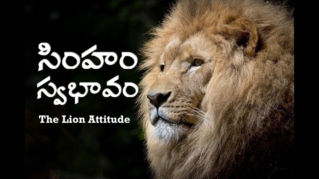 సింహం స్వభావం | Lion Attitude | 2020 Telugu Motivational Video