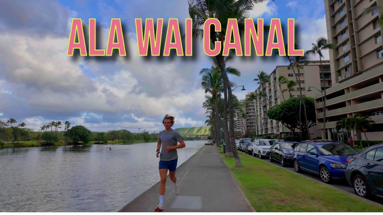 【4K】𝐖𝐀𝐋𝐊 🇺🇸 Visiting the Ala Wai Canal in Waikiki 🏖️🌺🌞