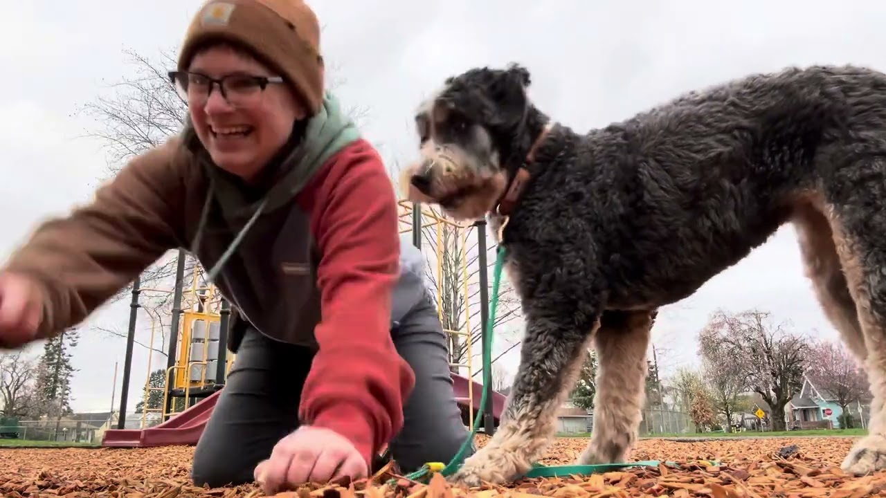 Maple - managing planting on walks