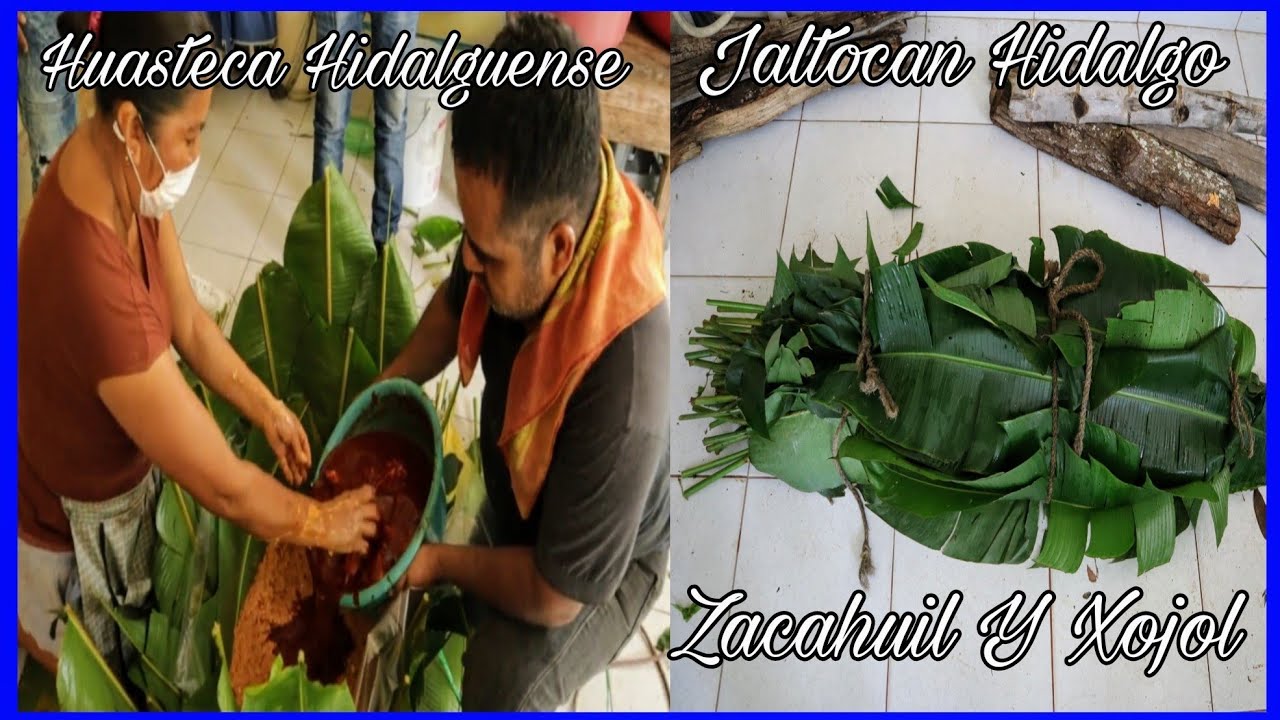 Elaboración De Xojol Y Zacahuil En Jaltocan Hidalgo | Huasteca Hidalguense