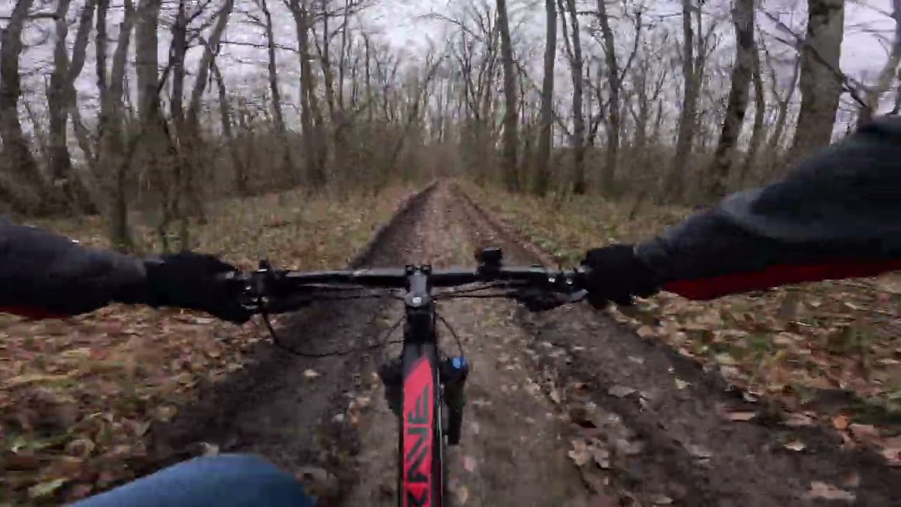 Cycling in Capriana: Full Descent Through the Woods 2024-12-25