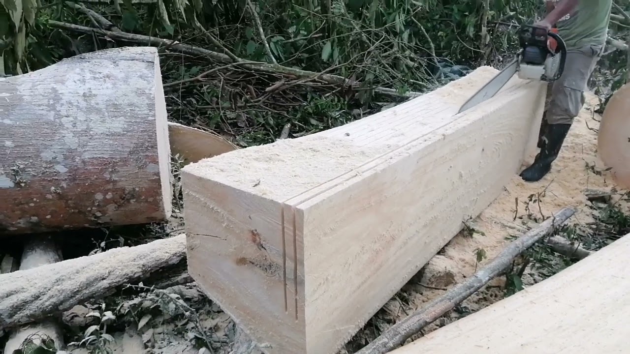 Sthil ms 660 MADE IN Germani, para aserrada, trosar, tumbar para el campo selva
