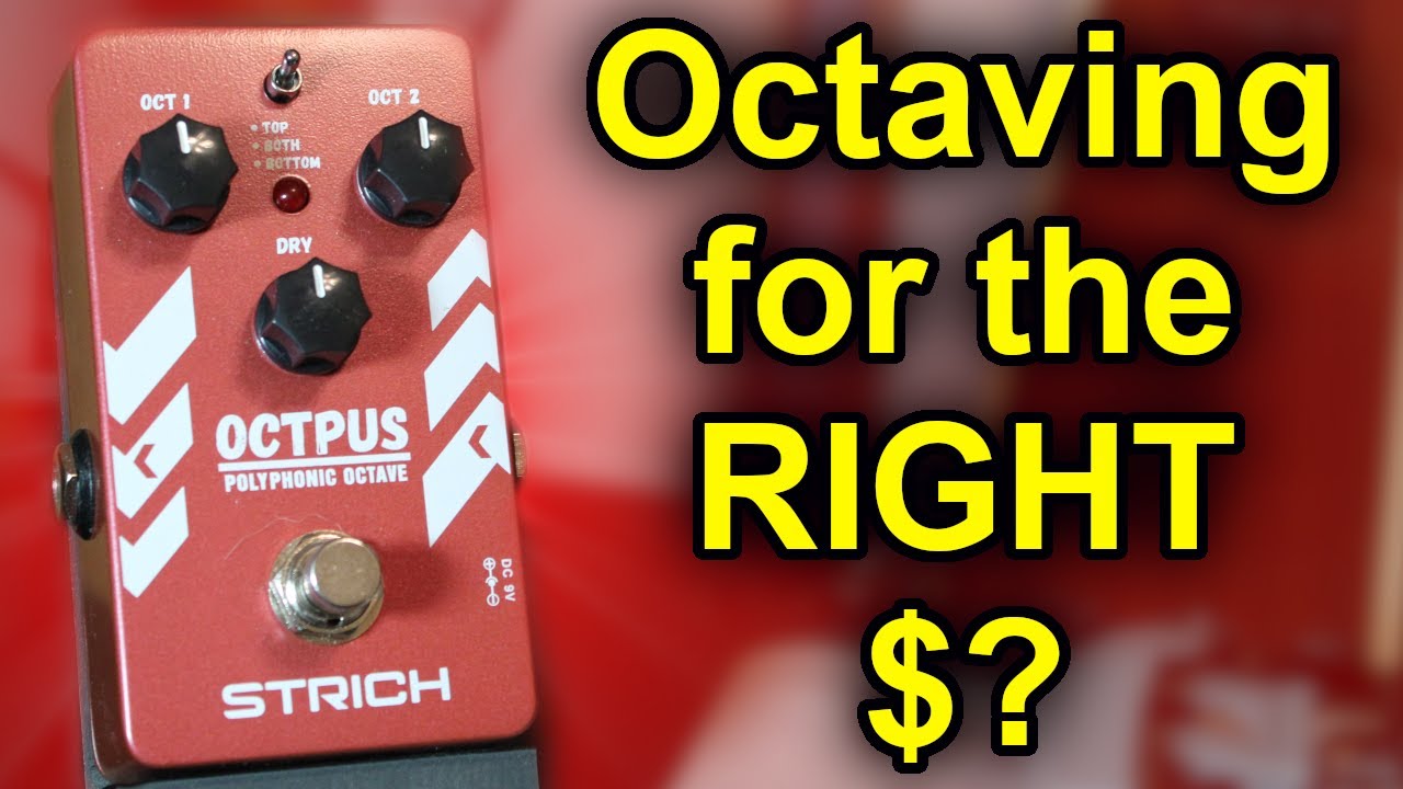 Affordable Octaving!? | Stritch OCTPUS Octave Pedal Review