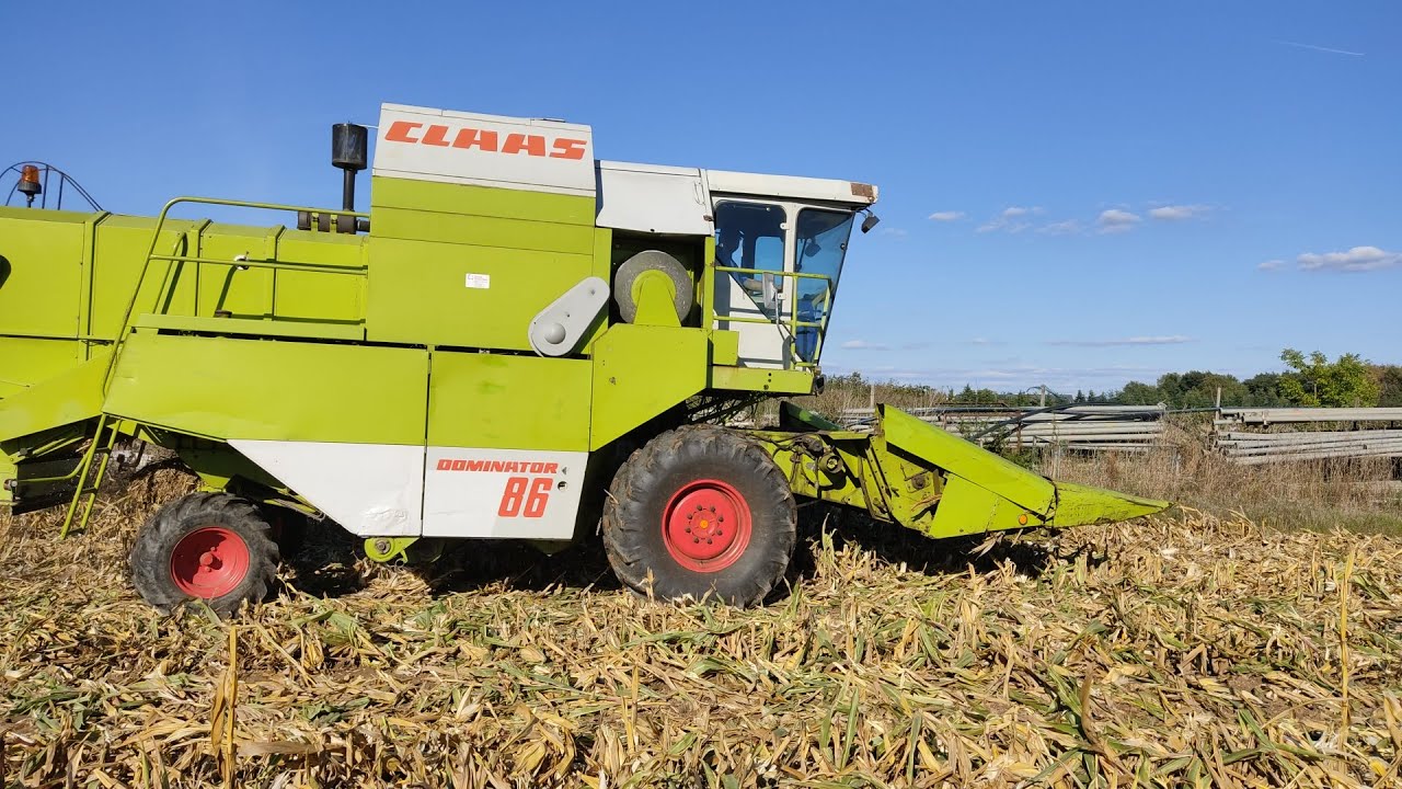 Dominator 86 beim Maisdreschen