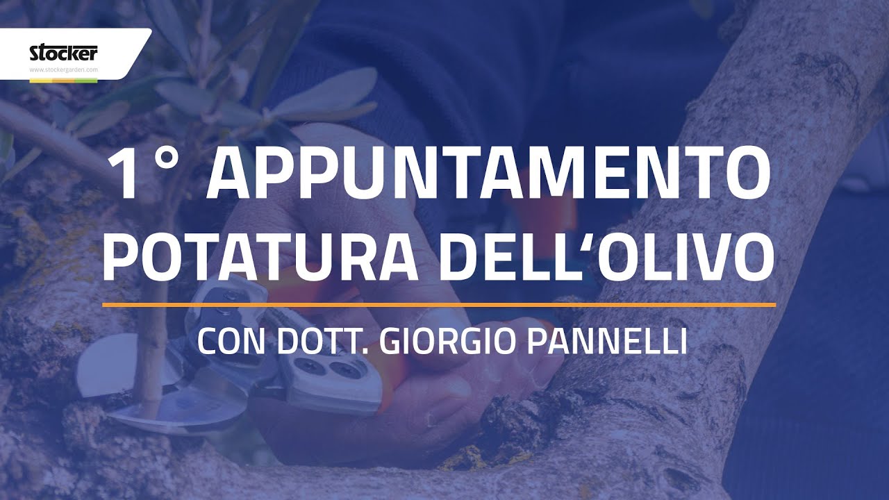 CORSO POTATURA FREE - OLIVO - LIVE 1
