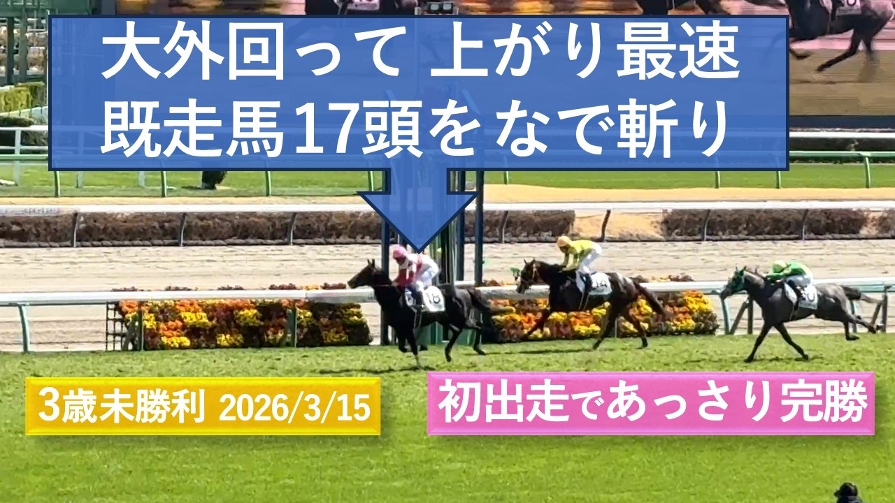 2026年3月15日 | 中山5R 3歳未勝利 | ダノンファンスター | ベアドッキューン | ヴァルカンテソーロ | 現地レース映像 | 中山競馬場 | スマシ観戦 | 芝2,000