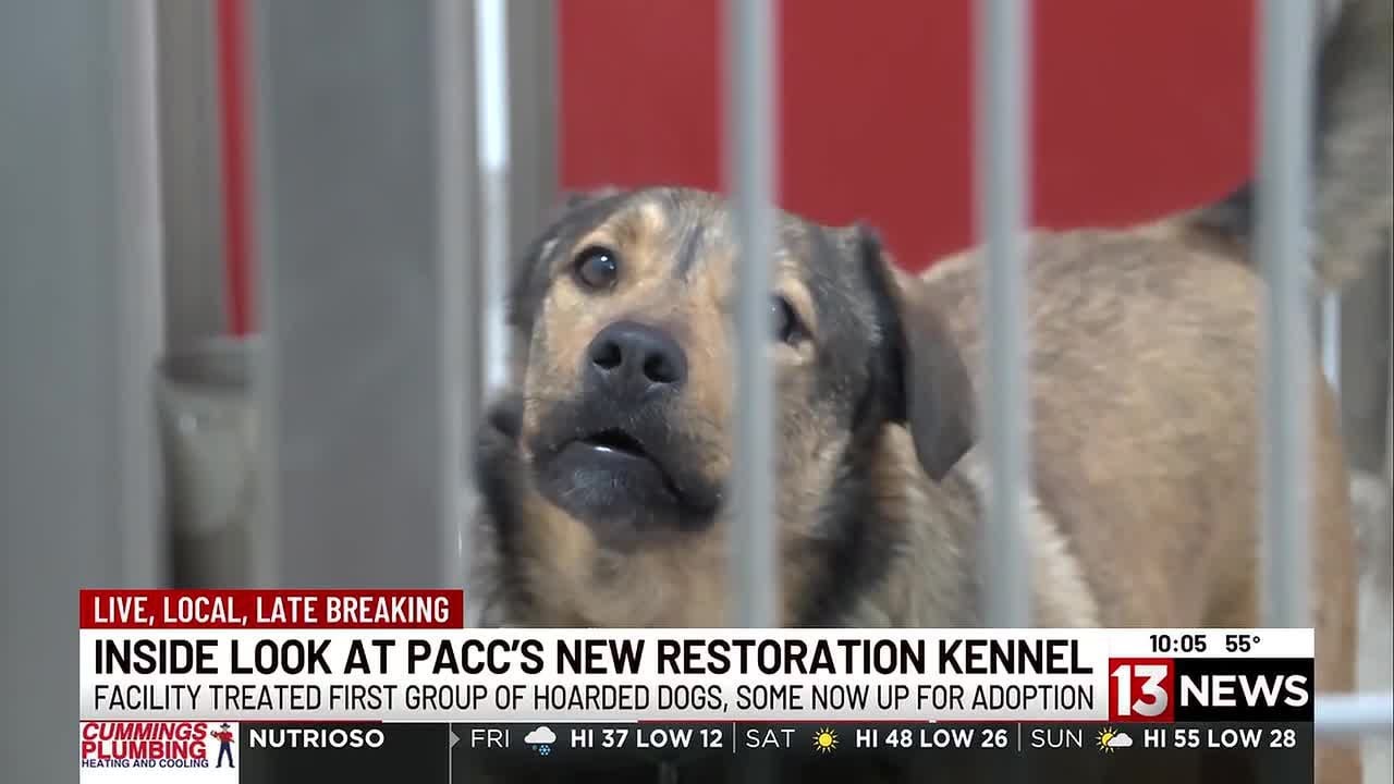 Inside look at PACC’s Animal Restoration Kennels