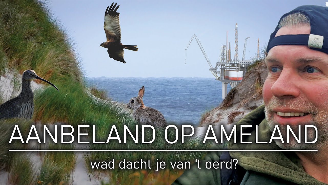 #69 - AANBELAND OP AMELAND - wad dacht je van 't oerd?
