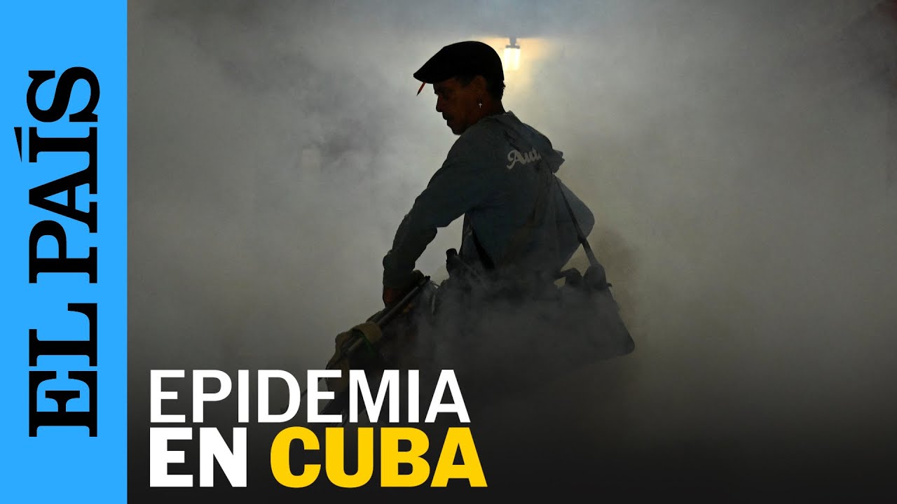 MUEREN EN CUBA al menos 33 personas por ENFERMEDADES transmitidas por MOSQUITOS | EL PA&Iacute;S