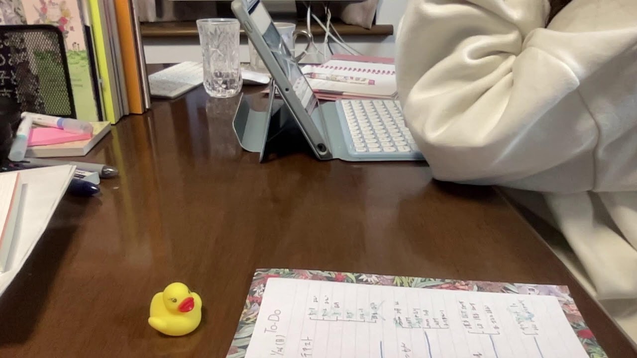 【勉強配信】Study with me〈5時間集中〉【第36回】
