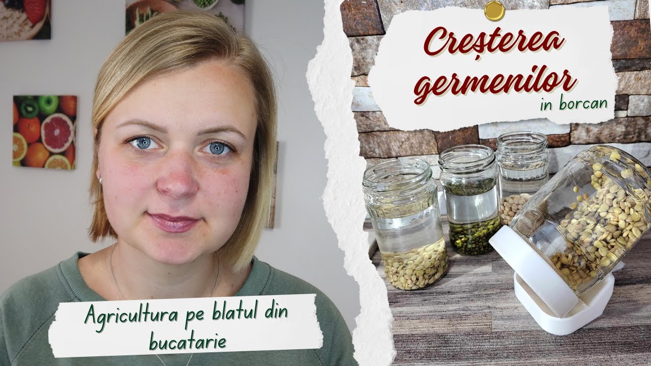 Cresterea germenilor | Agricultura pe blatul din bucatarie | Alina Fulberti