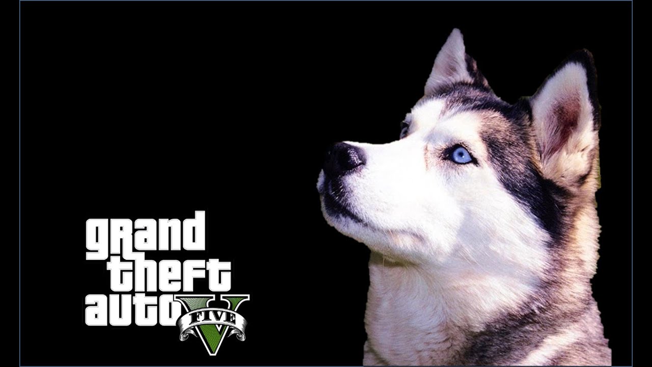 Gta 5 Roleplay | Real Life Mods [11]