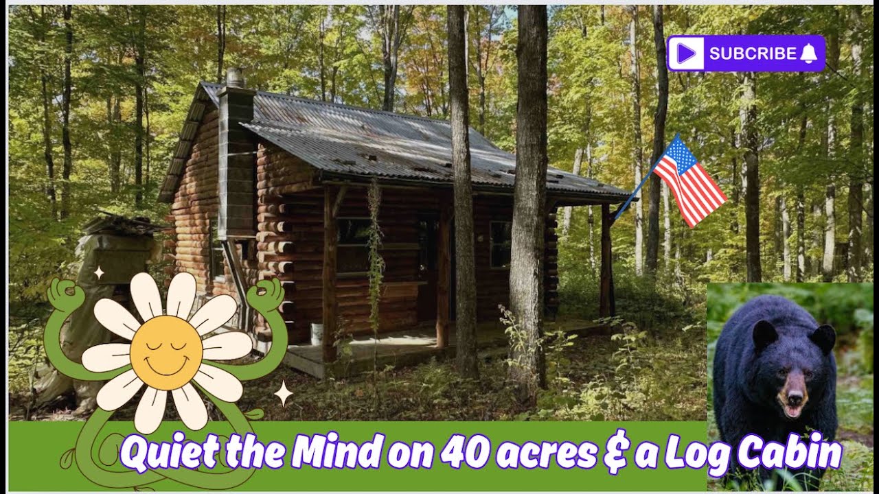$129k Michigan Log Cabin w/ 40 acres to share w/Bear 🐻
