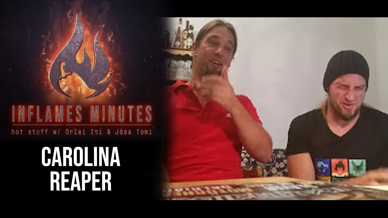 ☠️ HOT Minutes 🌶 Carolina Reaper k&oacute;stol&aacute;s (Orlai Imre & J&oacute;sa Tam&aacute;s)