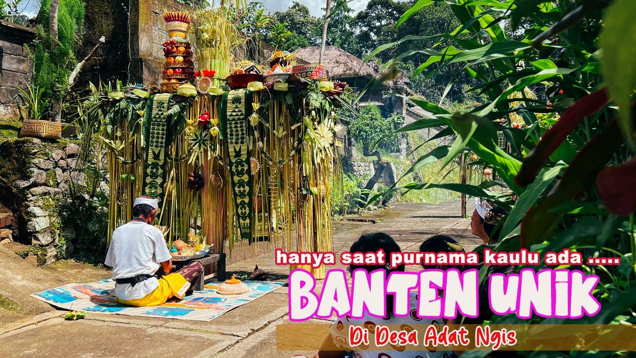 Hanya Saat Purnama Sasih Kaulu Warga Desa Adat Ngis ini Laksanakan Upacara ini, Lihatlah Keunikannya