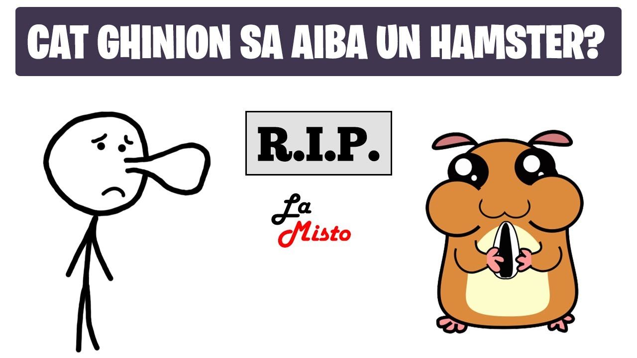MISTOCAR IN DEVENIRE - SARACUL MEU HAMSTER! 😰