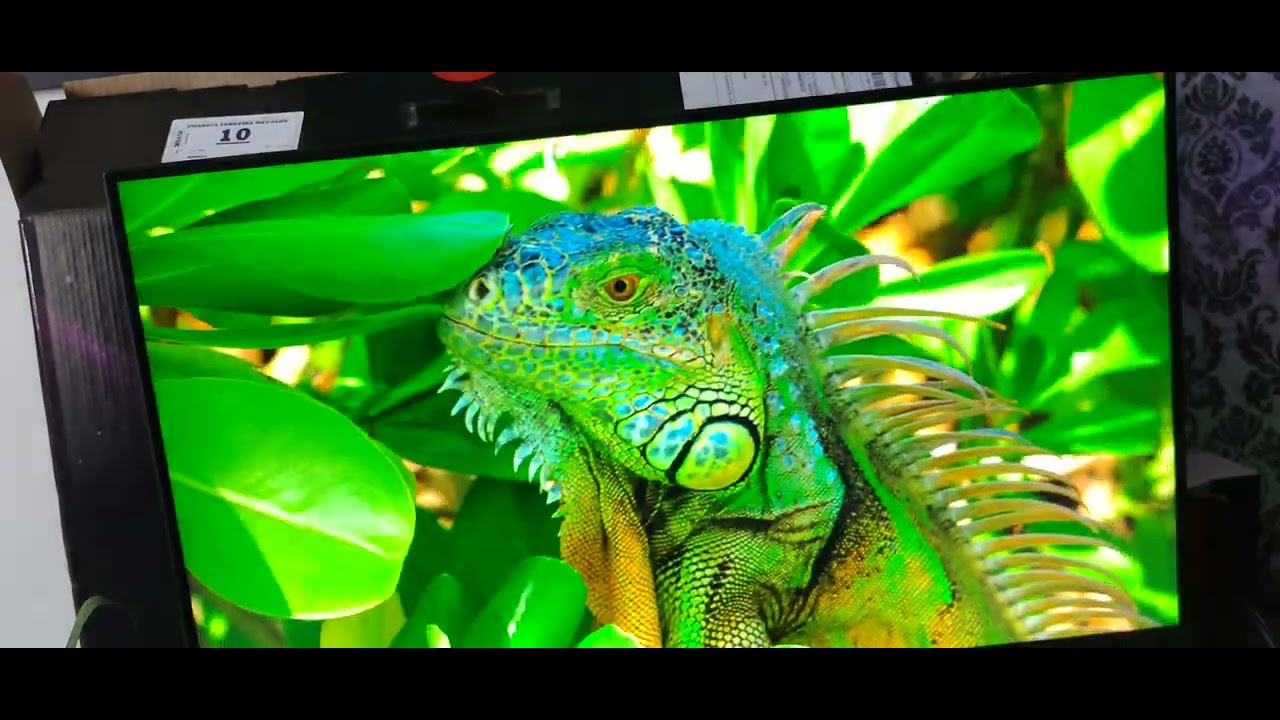 INBOX MONITOR PICHAU ATHEN V3 24 100HZ FREESYNC 2025 MELHOR MONITOR GAMER