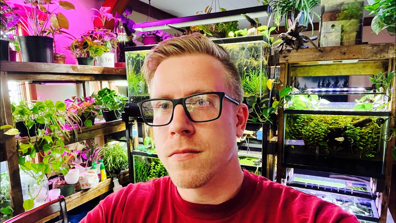 Fill Your House with Fish Tanks they Said&hellip;