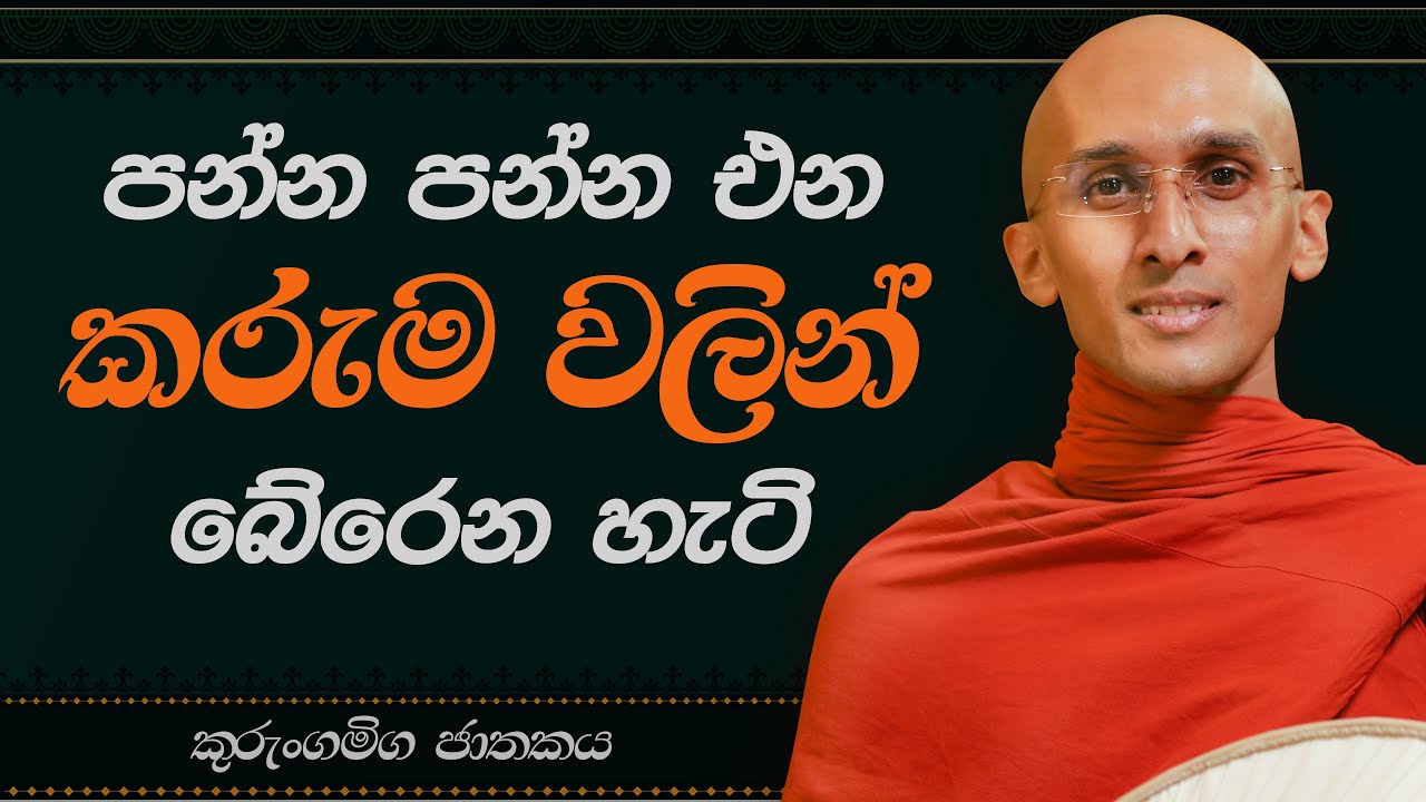 21. පන්න පන්න එන කරුම වලින් බේරෙන හැටි (කුරුංගමිග ජාතකය) | නුවණ වැඩෙන බෝසත් කථා | 2023-05-23