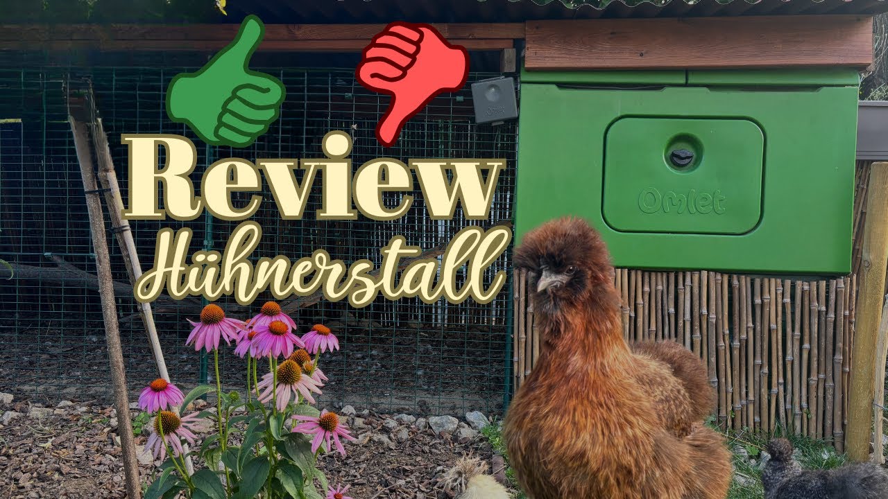 Omlet Eglu Cube Test - Hühnerstall Review nach 1,5 Jahren Erfahrung 🐔