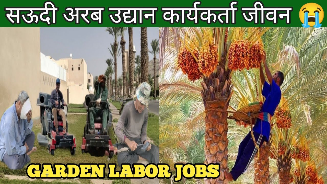 Saudi Garden Workar | saudi arabia company visa 2023 | Garden worker salary kitna hai