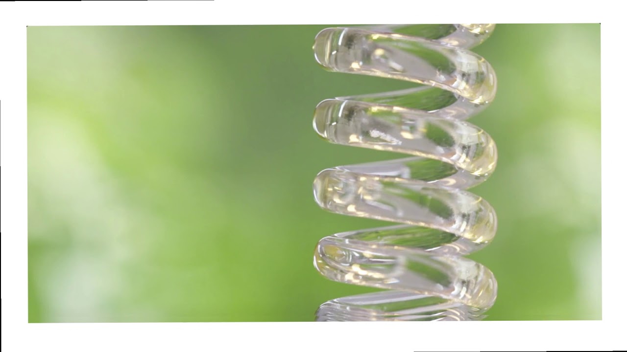 Sapindus Mukorossi Seed Oil