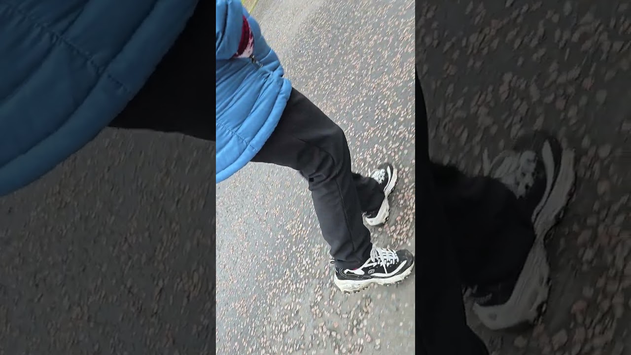 The Dog Bloke 03:  Walkies with Ernie (accompanied by 'PurplePooLady') 