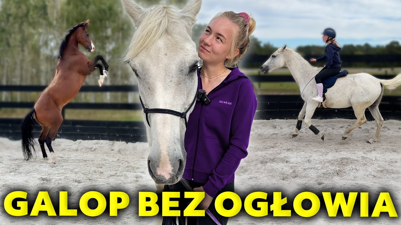PRACA Z KONIEM NA WOLNOŚCI 😱 | Trening w stajni naszej trenerki
