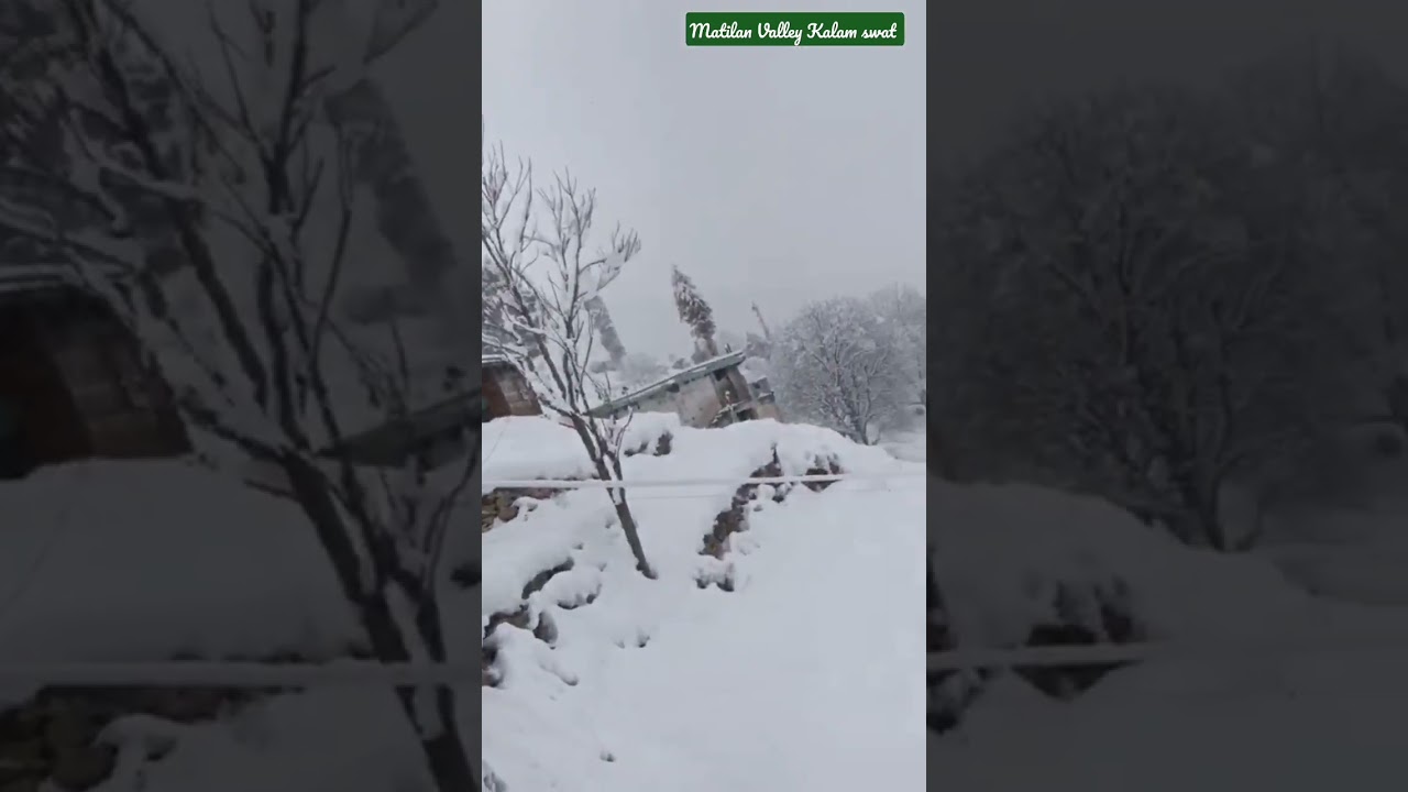 Matilan Valley Kalam swat beautiful view of Snow || Kalam weather Update #kalam #snowfall #ushu