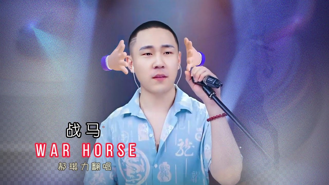 郝琪力《战马》烟嗓DJ版  魔性的旋律，独特的烟嗓豪迈奔放富有磁性  #rapsong