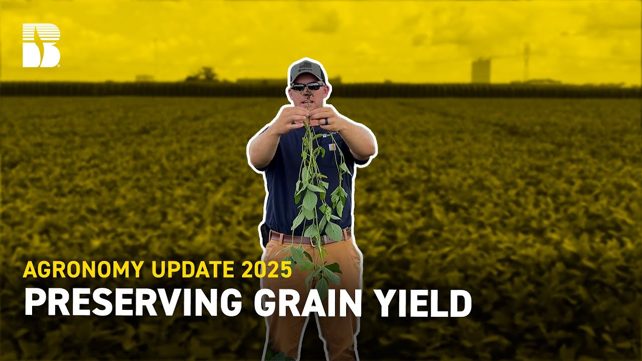 Preserving Grain Yield | Beck's Agronomy Update