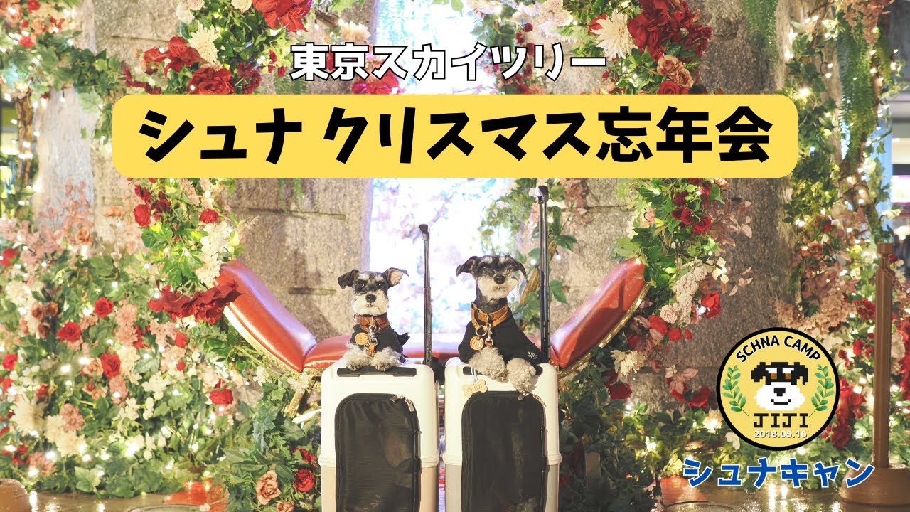 【お出掛け】シュナ クリスマス忘年会　”今年一年ありがとうございました！”