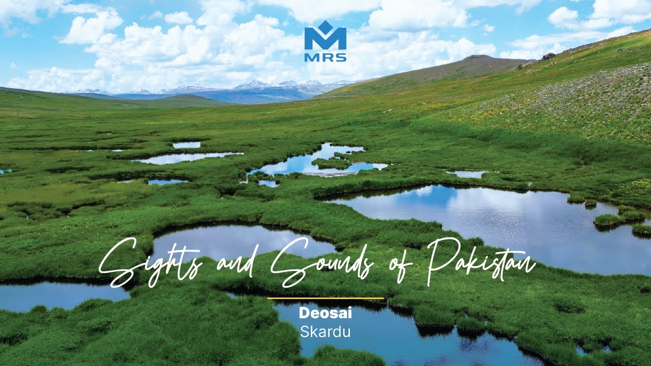 Sights & Sounds of Pakistan I Deosai I Skardu, Pakistan