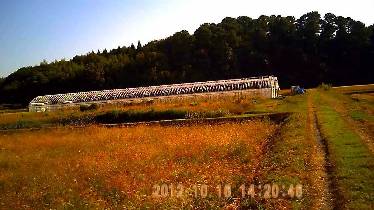 ep-models Full Brushless mCP X (Light version)2