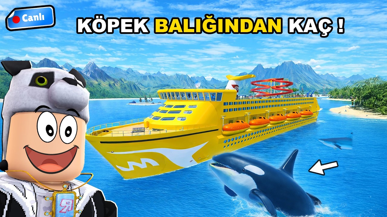 CANLI: KÖPEKBALIĞINDAN DEV GEMİ İLE KAÇIYORUZ! - Roblox