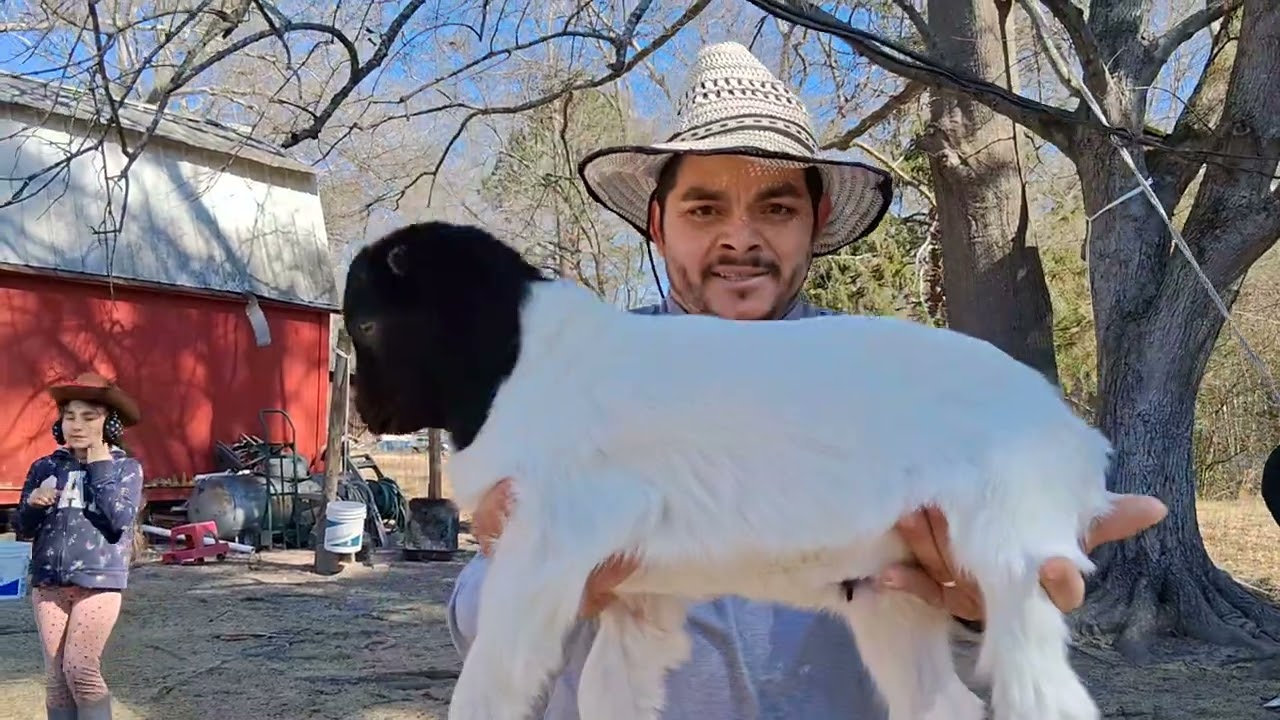7 de febrero de 2026 un rato divertido con mis animales.
