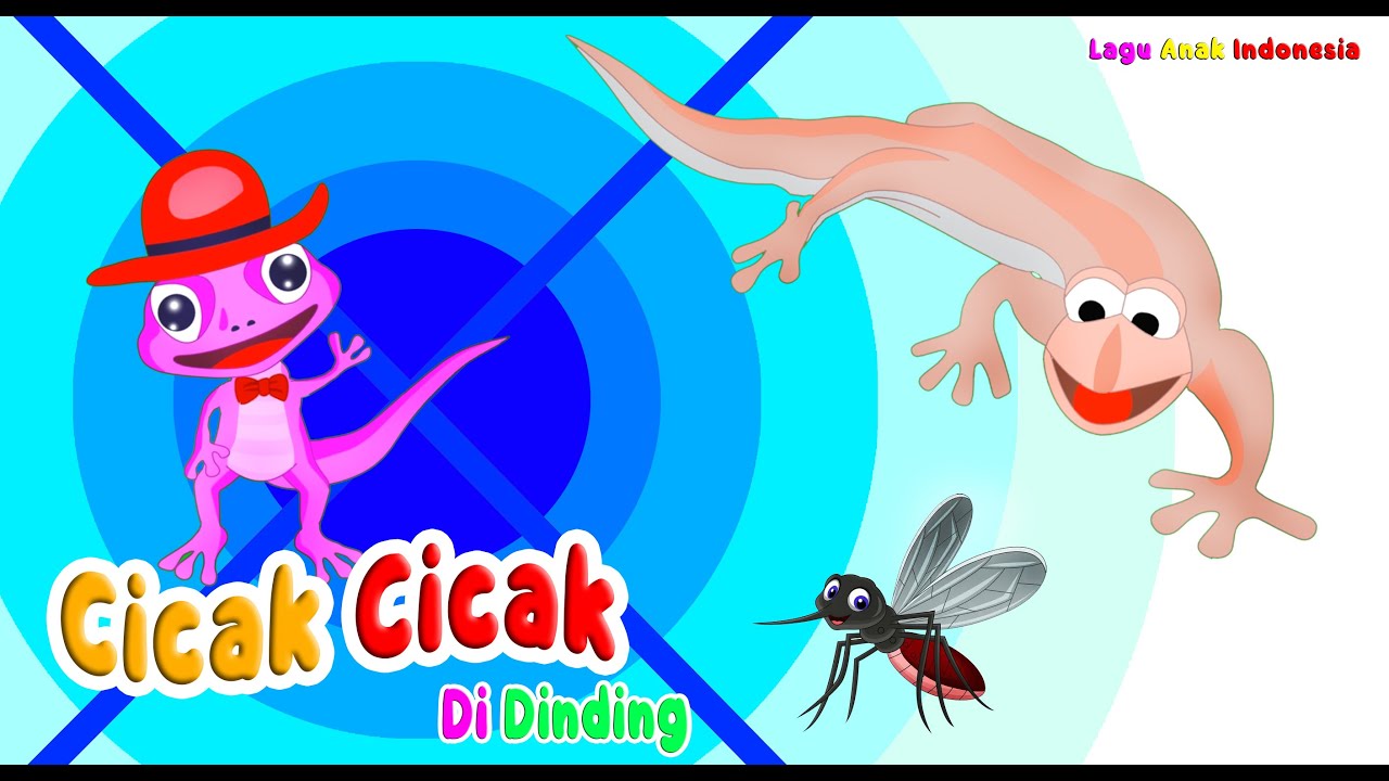 CICAK CICAK DI DINDING Lagu Anak Indonesia populer