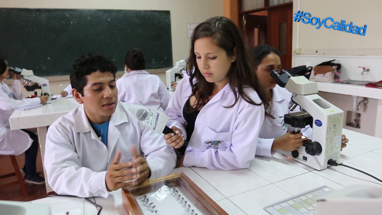 Soy Calidad 23: La Universidad Nacional de Trujillo vive así la acreditación de sus carreras