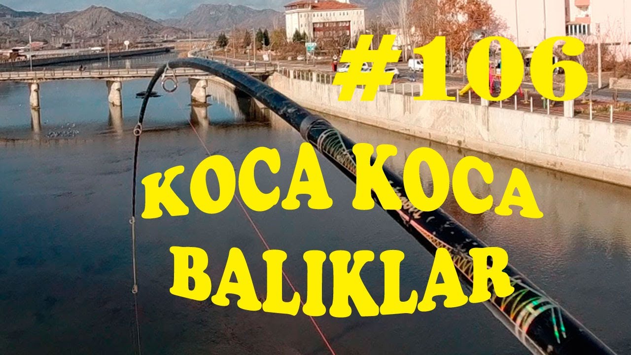 Dip Oltası İle Koca Koca BALIK AVI.Büyük Kefal Avı.KASNA AVI.Catch Fish.Chub Fishing.river.hook #106