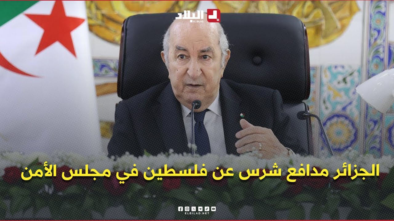 الرئيس #تبون: 