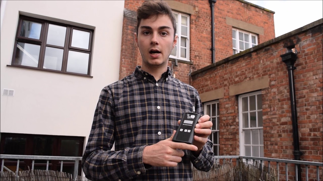How to use a Bat Detector