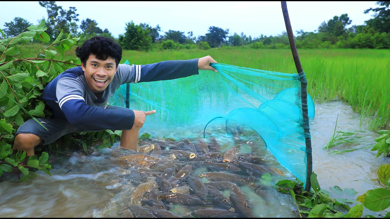 Fish season come So happy everyone , Fishing season has arrived