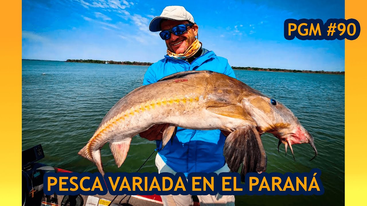 PESCA VARIADA DEL PARANA