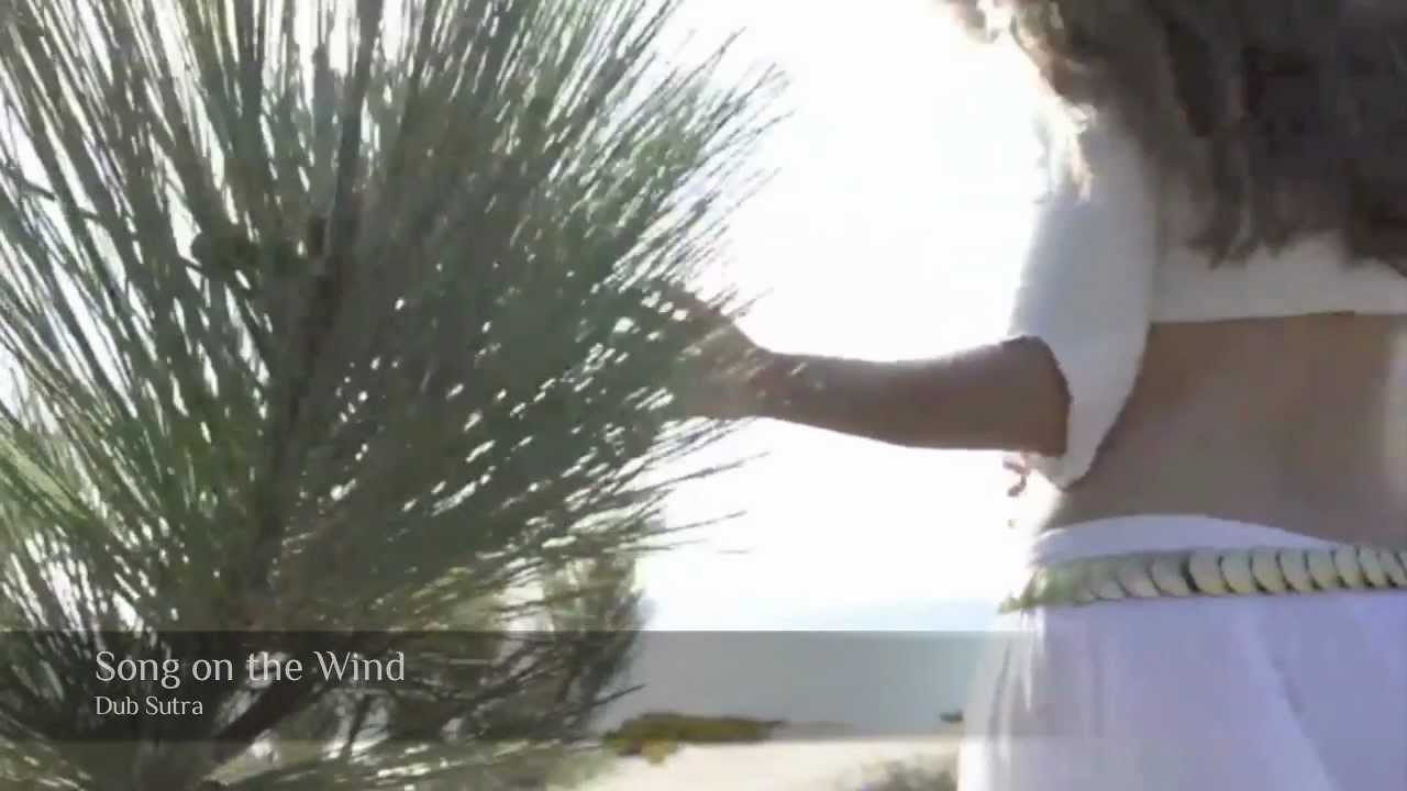 Official "Song on the Wind" Music Video by Dub Sutra