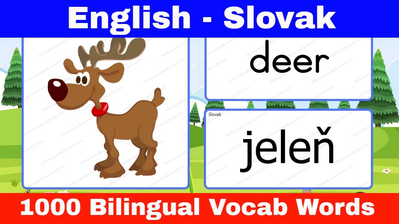 📌Learn English Slovak Vocabulary with Pictures for Beginners : Naučte sa anglick&yacute; slovensk&yacute; slovn&iacute;k